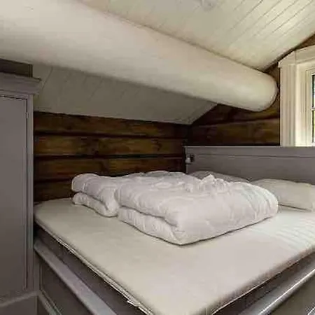 Stor Og Eksklusiv Tommerhytte Hemsedal * Grøndalen